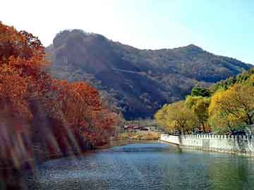 新澳门二四六天天彩，东阳地板